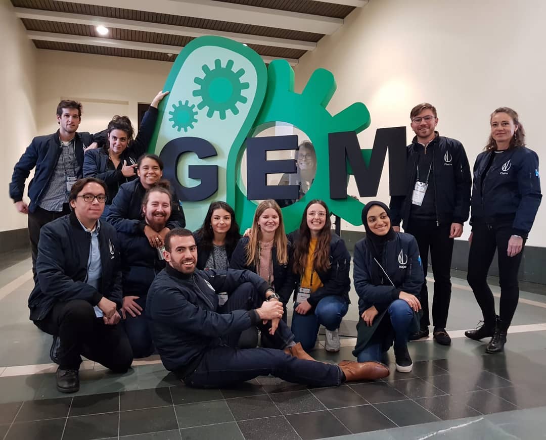 Igem 2019